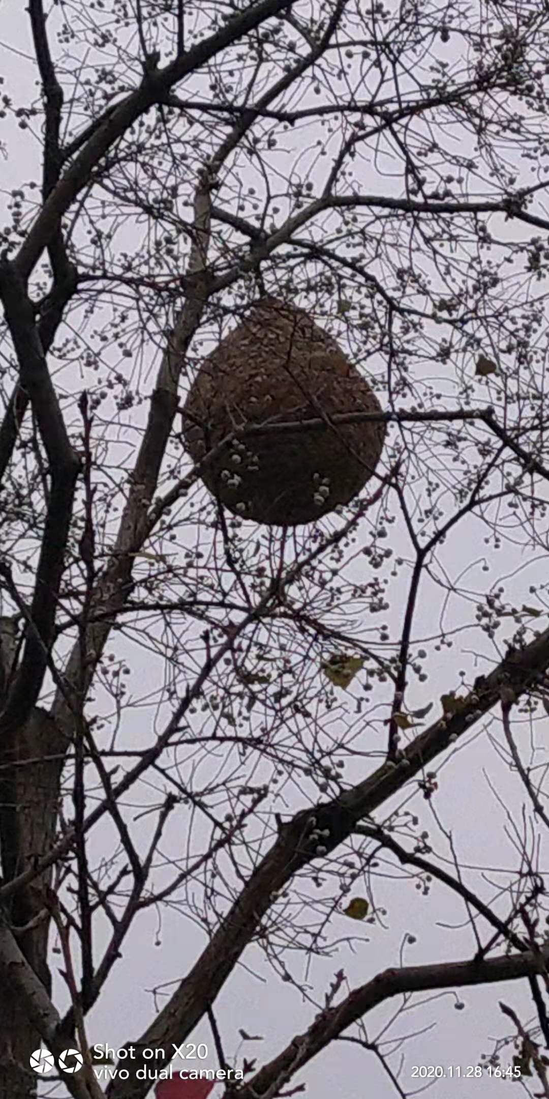 ̩_20201129_230737.jpg